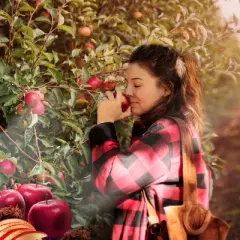 Air Wick Vibrant Scented Oil Air Freshener Starter Kit - Warm Apple & Cinnamon - 0.67 fl oz/2pk