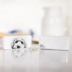 Pavilion Gift Company - Bone Appetit! - Dog - Salt and Pepper Shaker - Stoneware Set Doggy Puppy K9 Kitchenware