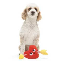 BARK 10" I Chews You Heart Throbert Dog Rope Toy