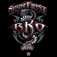 Boy's WWE Randy Orton Strikefirst RKO T-Shirt