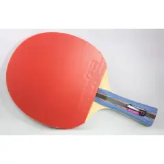 Butterfly Nakama S-9 Racket