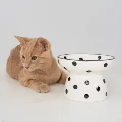 Dexypaws: Elevated Ceramic Cat Bowl, White & Black Polka Dots,8.7oz