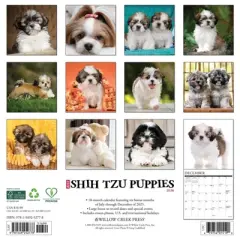 Willow Creek Press 2026 Shih Tzu Puppies Wall Calendar
