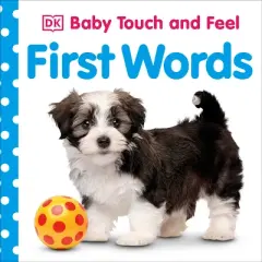 First Words - (Baby Touch and Feel) by  DK (Board Book)