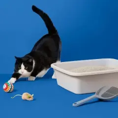 Lightweight Fragrance Free with Baking Soda Clumping Cat Litter - 13.5lbs - up&up&trade;