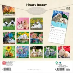 BrownTrout Honey Bunny 2026 12"x24" Hanging Square Wall Calendar Plastic-Free
