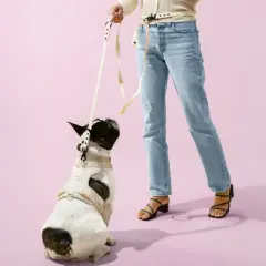 THE LICKER STORE Arlo Adjustable Soft Padded No Pull Pet Harness with 3 Buckles and 3 Leash Clips