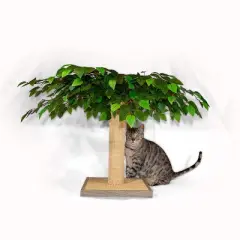 Midlee Tree Decorative Cat Scratcher