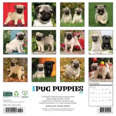 Willow Creek Press 2026 Pug Puppies Wall Calendar