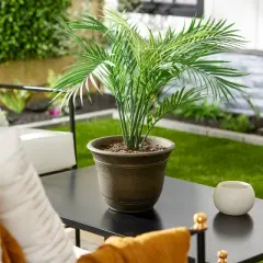 HC Companies SRA10001P02 Sierra 10 Inch Self Watering Round Weather Resistant Plastic Resin Flower Garden Planter Pot Container, Celtic Bronze