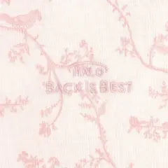 HALO Innovations SleepSack 100% Cotton Wearable Blanket - Girl