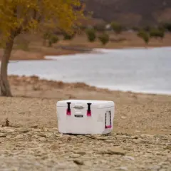 Lifetime 55 Quart High Performance Cooler, White and Pink (91245)