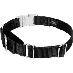 Country Brook Petz Heavyduty Nylon Martingale with Premium Buckle