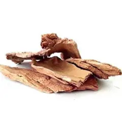 PRIDE OF INDIA Arjuna Bark Whole PACK of 1 - 3.53 Oz