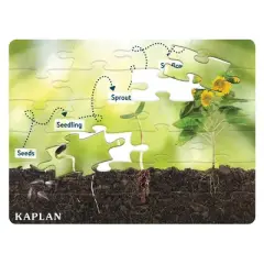 Kaplan Early Learning STEM Learning Realistic Animal and Plant Life Cycle Floor Puzzles - Set of 4