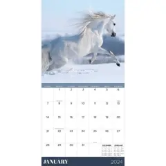 TF Publishing 2024 Wall Calendar 12"x12" Horses