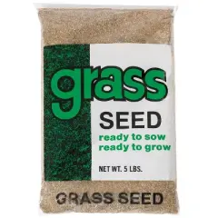 Barenbrug Annual Ryegrass Partial Shade/Sun Grass Seed 5 lb