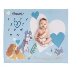 NoJo Disney Lady & the Tramp Blue, White, and Gold Love At First Sight Super Soft Photo Op Milestone Baby Blanket
