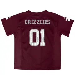 NCAA Montana Grizzlies Toddler Boys' Jersey