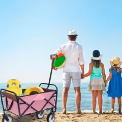 FURNIinspire Outdoor Serving Carts Fish 250L Collapsible Wagon Beach Wagon with Big Wheels for Camping, Sports, Pink, 25.98"*17.32"*37.4"