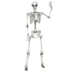 Costway Halloween Skeleton Life Size Realistic Full Body Hanging with Movable Joints