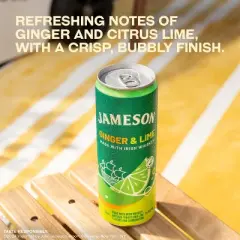 Jameson Whiskey Lime RTD - 4pk/355ml Cans