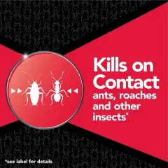 Raid Max Ant and Roach Killer Bug Spray - 14.5oz