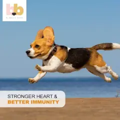 Buddy's Best Salmon Oil for Dogs & Cats - Pump Bottle, 100% Pure Norwegian Fish Oil, Virtually Odorless