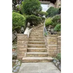 Z-Lite Brookside 1 - Light Lantern in  Black