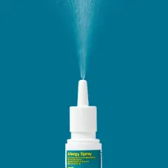 Mometasone Furoate Nasal Allergy Spray - 120 Sprays - up&up&trade;