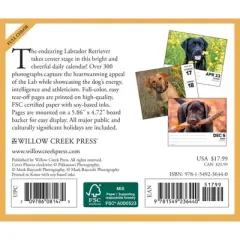 Willow Creek Press 2024 Daily Desk Calendar 5.2"x6.2" Labs