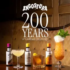 Angostura Aromatic Bitters - 4 fl oz Bottle