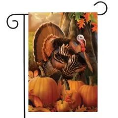 Briarwood Lane Thanksgiving Garden Flag 12x18 For Outdoor Harvest Turkey Fall For Thanksgiving Garden Flag Flags For Outside