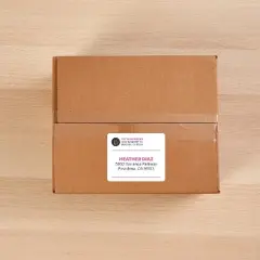 Avery TrueBlock Shipping Labels with Sure Feed, Permanent, 3-1/3" x 4", White, 2 Pack, 120 Labels Total (32134)