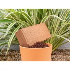 Envelor Coco Coir Brick Potting Soil