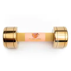 Blogilates Dumbbells - Gold 10lbs