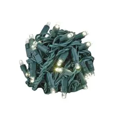 Novelty Lights 50 Light LED Christmas Mini Light Set (Green Wire, 25 Feet)