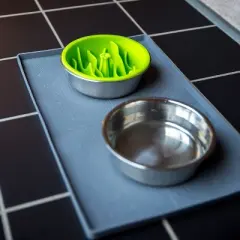 Mighty Paw Slow Feeder Lick Bowl | BPA-Free, Fun, Easy to Clean for Dogs