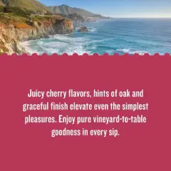 Cabernet Sauvignon Red Wine - 1.5L Bottle - California Roots&trade;