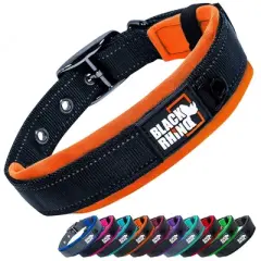 Black Rhino Neoprene Padded Dog Collar - Orange - Large