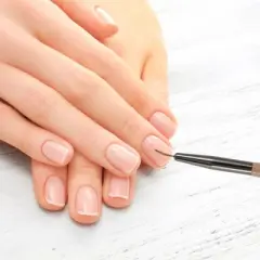 Unique Bargains Nail Painting Brushes for Polish Painting Home DIY Clear Brown 1 Pc