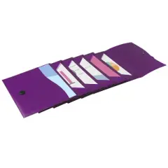 Avery Slide & View Expanding File Folder, 6 Pockets, Letter Size, 1 Plum Folder (73543)