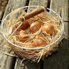 Yellow Door Play Eggs, 6 Per Pack