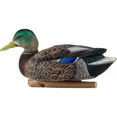 Avian X Topflight Mallards Early Season Pack of 6 Floating Decoys