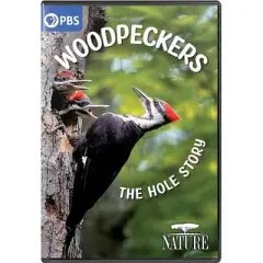 NATURE: Woodpeckers - The Hole Story (DVD)