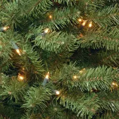 National Tree Company 6' Prelit Slim North Valley Spruce Artificial Christmas Tree Clear Lights