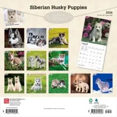 BrownTrout Siberian Husky Puppies 2026 12"x24" Hanging Square Wall Calendar Plastic-Free