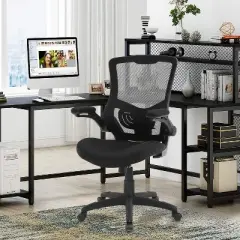 FDW Office Chair Home Chair Computer Chair with Lumbar Support Adjustable Armrests Flip-Up Arms & Swivel Base