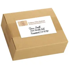 Avery Printable All-Purpose Removable Labels, 2" x 4", White Labels, 3 Packs, 300 Customizable Blank Labels Total (22283)