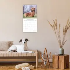 The Gifted Stationery 2025 Square Wall Calendar, Dachshund, 16-Month Paw Prints Theme with 180 Reminder Stickers (12 x 12 In)